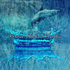 Album 45 Relax At The End Of The Day oleh White Noise For Baby Sleep
