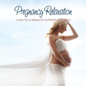 อัลบัม Pregnancy Relaxation: Music for a Relaxed and Confident Pregnancy ศิลปิน Stephan North