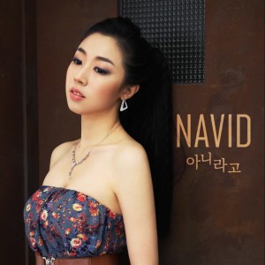 Listen to 아니라고 song with lyrics from Navid