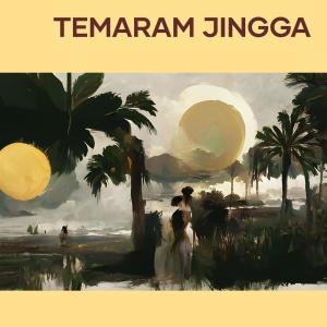 Album Temaram Jingga from Budi Rahmadi