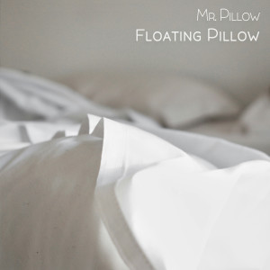 Album Floating Pillow from Mr. Pillow