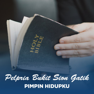 收听Pelpria Bukit Sion Gatik的PIMPIN HIDUPKU歌词歌曲