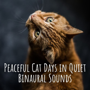 Album Peaceful Cat Days in Quiet Binaural Sounds from Some Music