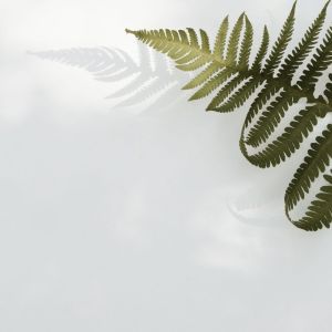 Listen to Me Time song with lyrics from SPA