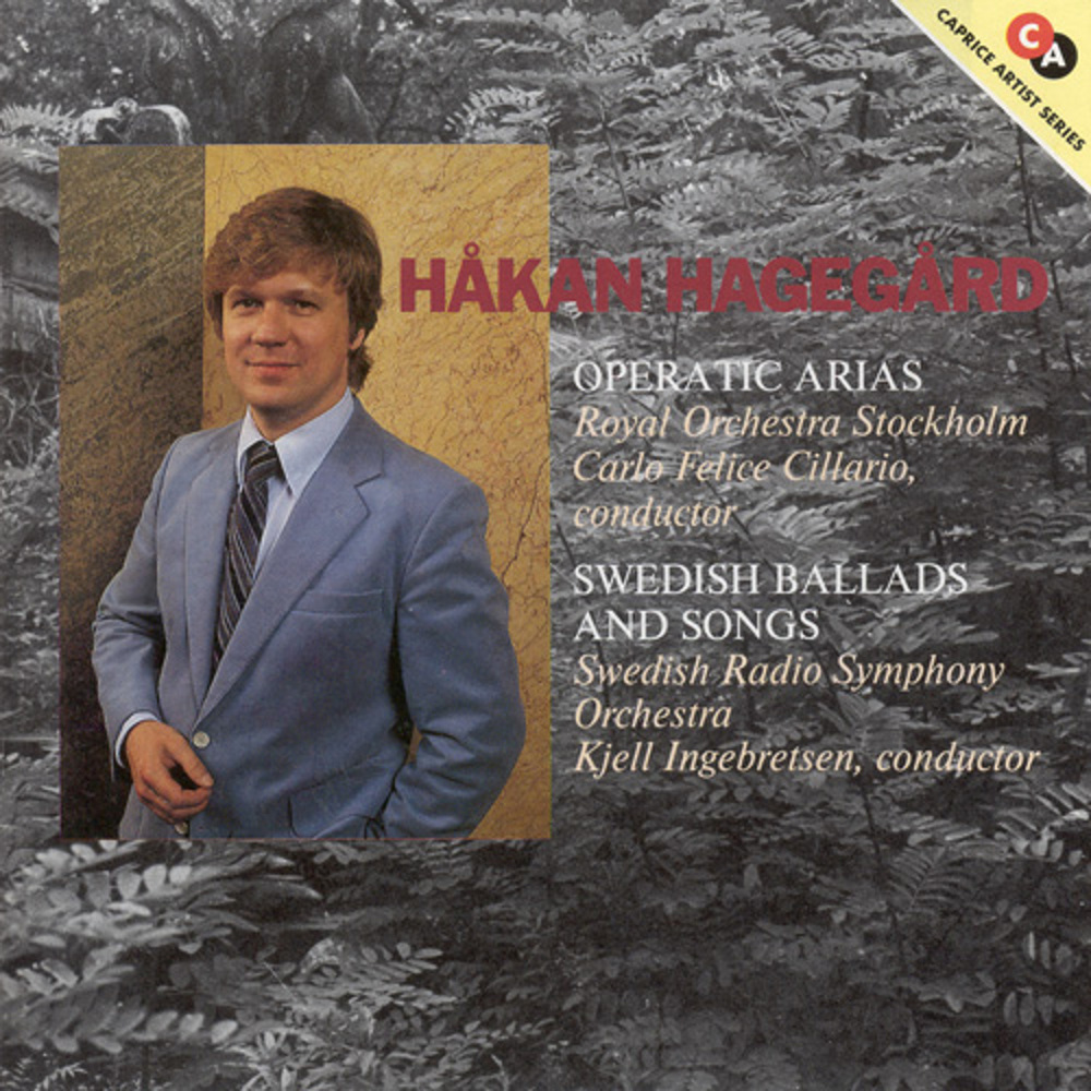 3 Dikter av Tor Hedberg, Op. 24: No. 3, Vid havet