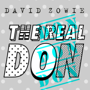 ดาวน์โหลดและฟังเพลง The Real Don พร้อมเนื้อเพลงจาก David Zowie