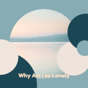 收听Don Gibson的Why Am I so Lonely歌词歌曲