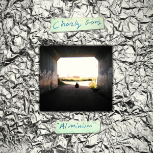 Album Aluminium (Explicit) from Charly Gang