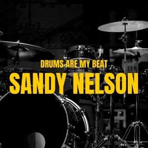 Album Drums Are My Beat oleh Sandy Nelson