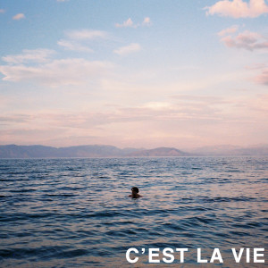 Listen to C'est La Vie song with lyrics from Dutch Criminal Record