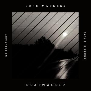 收聽Beatwalker的Lone Madness歌詞歌曲