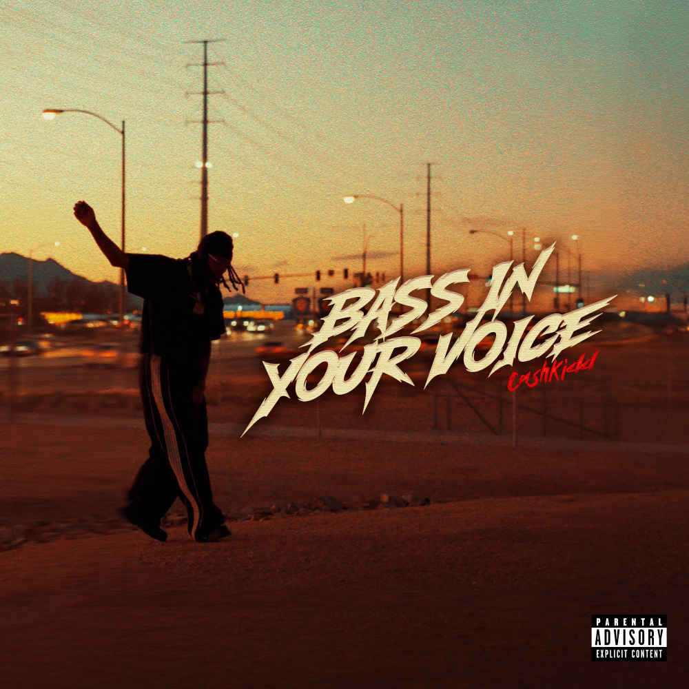 Bass In Your Voice (Explicit)