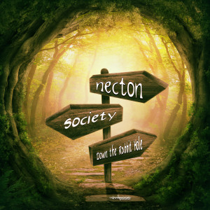 Listen to Secret Squirrel (Original Mix) song with lyrics from Necton