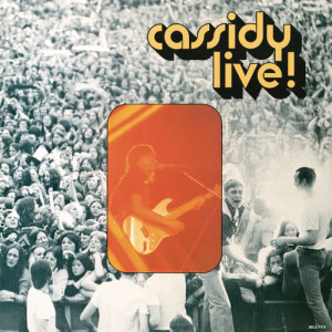 ดาวน์โหลดและฟังเพลง For What It's Worth (Live) พร้อมเนื้อเพลงจาก David Cassidy