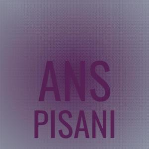 Various Artists的專輯Ans Pisani