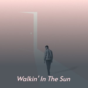 Listen to Walkin' in the Sun song with lyrics from Percy Sledge