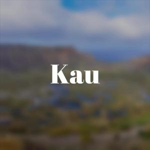 收听Darry Pluk的Auntie Concerns歌词歌曲