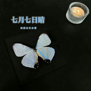 Listen to 七月七日晴 (突然冰天白雪) song with lyrics from 奕sir