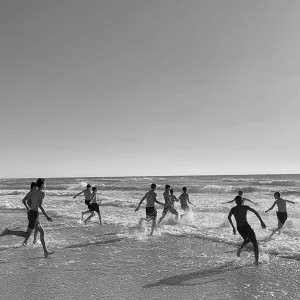 อัลบัม על הדשא ศิลปิน מאור כהן