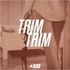 ดาวน์โหลดและฟังเพลง Trim Trim (Explicit) พร้อมเนื้อเพลงจาก +2dB