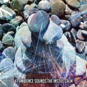 Album 47 Ambience Sounds The Instill Calm oleh Music for Reading