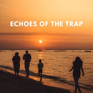 Album Echoes of the Trap from Rohit Singh