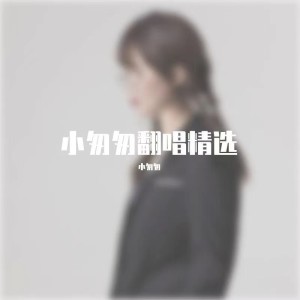 Album 小匆匆经典翻唱合集 oleh 小匆匆