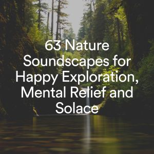 Album 63 Nature Soundscapes for Happy Exploration, Mental Relief and Solace from 
