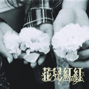 收聽Pedro 派卓的花兒紅紅歌詞歌曲