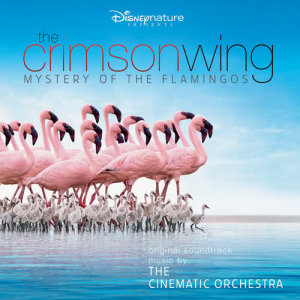 ดาวน์โหลดและฟังเพลง Marabou (From "The Crimson Wing: Mystery of the Flamingos" / Score) พร้อมเนื้อเพลงจาก The Cinematic Orchestra