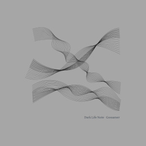 Listen to Gossamer song with lyrics from Dark Life Note