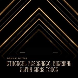 Listen to Binaural Alpha  Sinus 300 Hz - L 308 Hz - R song with lyrics from Binaural Systems
