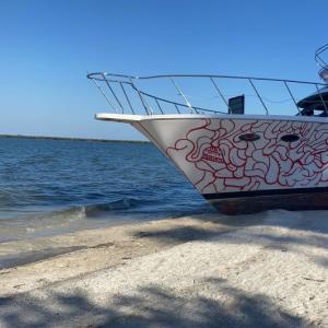 收聽FAS的No soy el歌詞歌曲