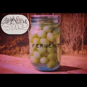 Grapes的专辑Ferment (Instrumental Demo)