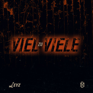 Jeyz的专辑Viel zu viele (Explicit)