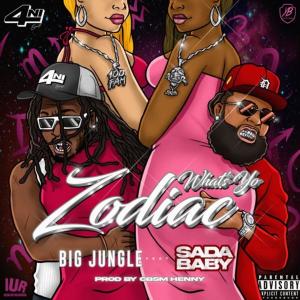 Whats Yo Zodiac (feat. Sada Baby) (Explicit) dari Sada Baby