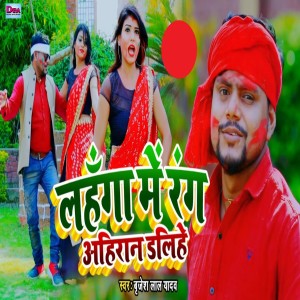 收听Brijesh Lal Yadav的Lahnga Me Rang Ahiran Dalihe歌词歌曲