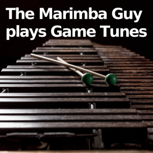Listen to Snowdin Town (From "Undertale") (Marimba Version) song with lyrics from Video Game Players