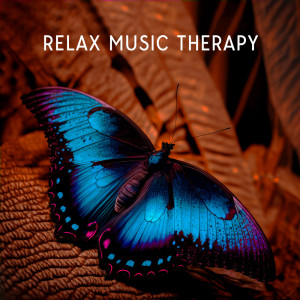 Listen to Calming Contemplation song with lyrics from Relax Time Universe