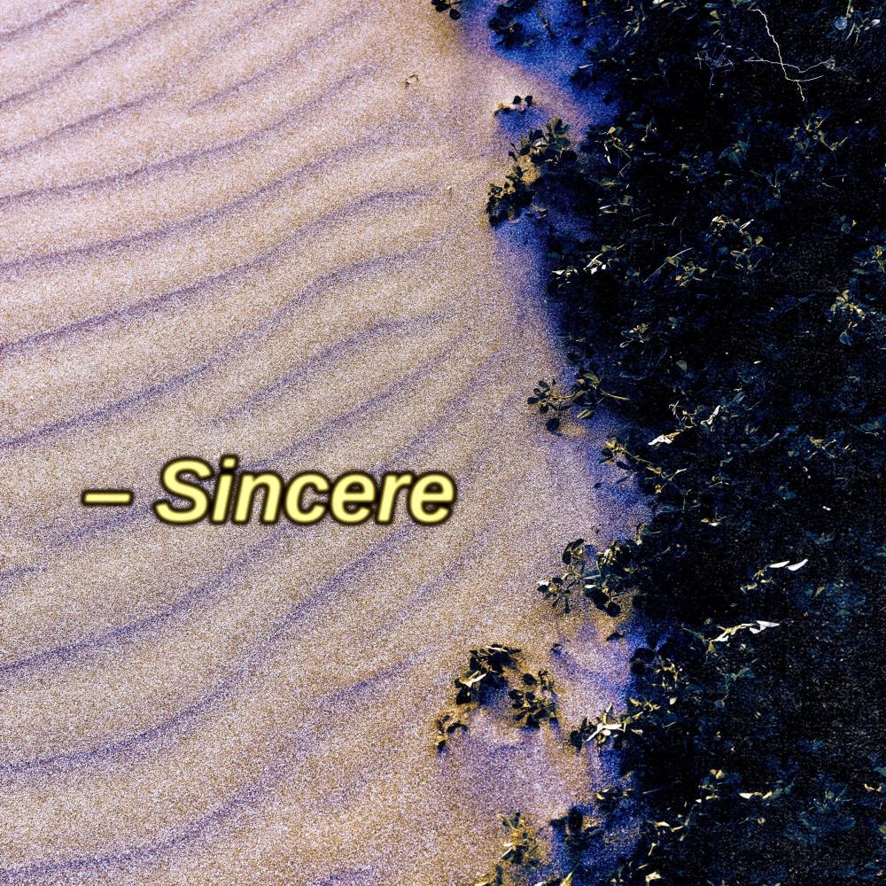Sincere (Explicit)