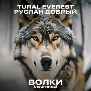 Listen to Волки (Лезгинка) song with lyrics from TURAL EVEREST