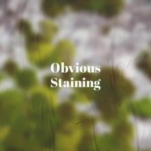 ดาวน์โหลดและฟังเพลง On Kevin พร้อมเนื้อเพลงจาก Charlon Tricker