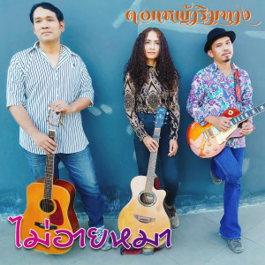 收听ดอกหญ้าริมทาง的ไม่อายหมา歌词歌曲