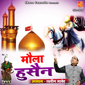 收听Saleem Javed的Moula Husain歌词歌曲