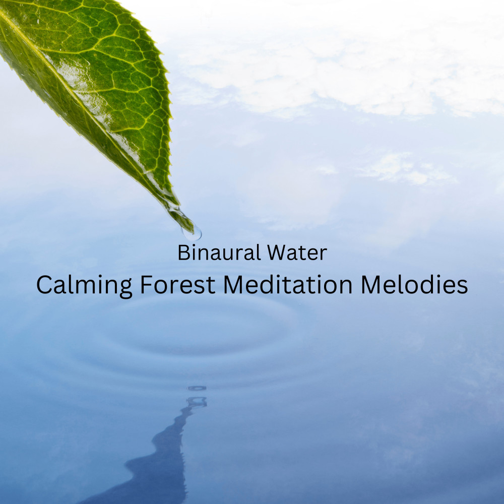 Ancient Trees Meditative Stillness