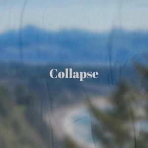 Various Artists的專輯Collapse