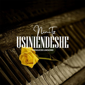 Listen to Usiniendeshe song with lyrics from Nini Tz