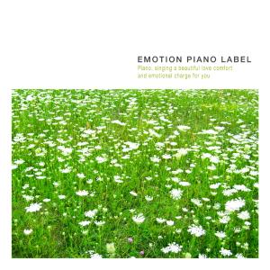 Various Artists的专辑It is comfortable to listen to before you fall asleep music (preaching new age)