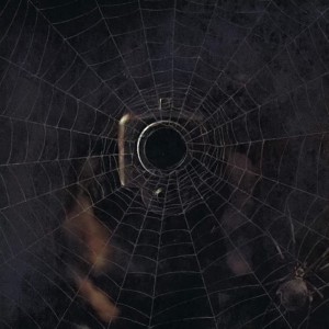 อัลบัม Black Widow (Explicit) ศิลปิน Rome Streetz