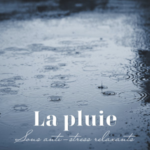 Dengarkan La pluie (Sons anti-stress relaxants) (其他) lagu dari Zen Ambiance D'eau Calme dengan lirik